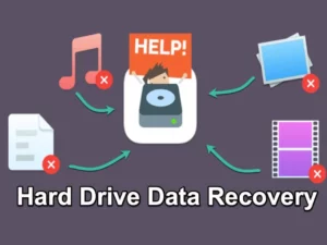 EaseUS Data Recovery Wizard USD 8.99 (Below 1GB)