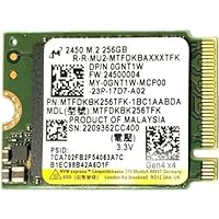 MICRON 2450 M.2 NVMe SSD 256GB